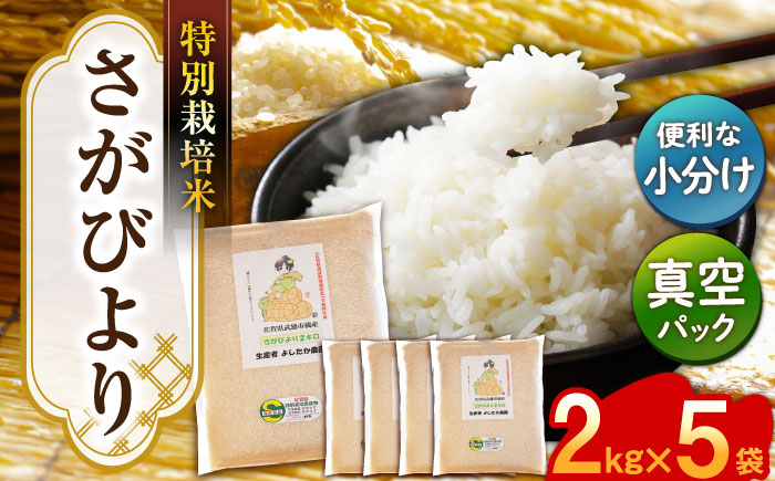 【特別栽培米！】令和7年産 新米 さがびより 10kg（2kg×5） 武雄市橘産 /よしたか農園 [UCY003] 白米 米 お米 こめ 精米 ブランド米