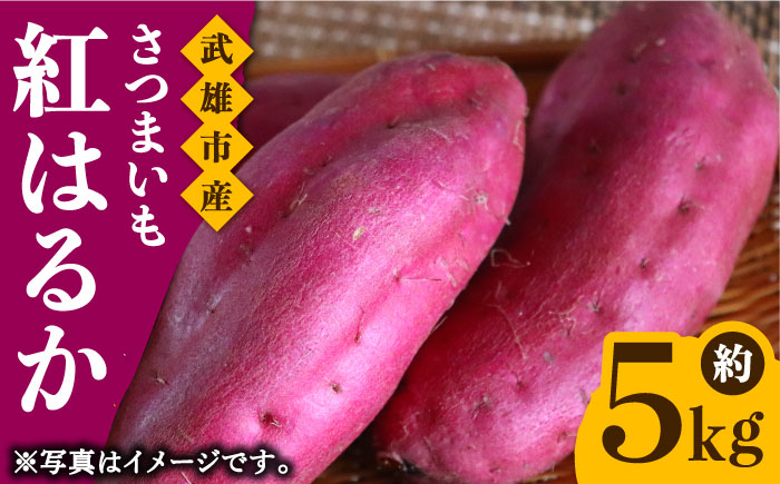 佐賀県武雄市産 さつまいも 紅はるか 約5kg /おかわりのうえん [UDD001] 芋 いも サツマイモ