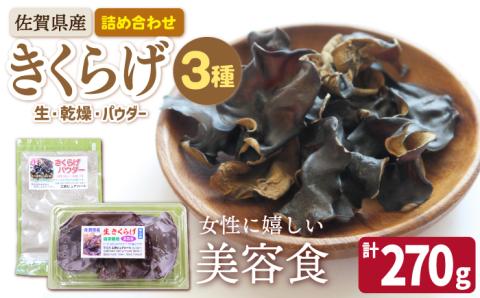【食物繊維たっぷり】佐賀県産 きくらげ 3種の詰め合わせセット（生・乾燥・パウダー）計270g /菓子工房ピュアハート [UDF001] キクラゲ きのこ 生きくらげ 乾燥きくらげ きくらげパウダー