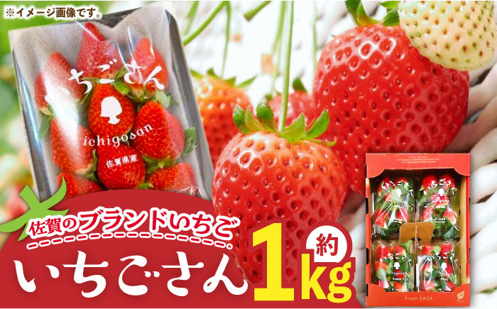 【先行予約】佐賀のブランドいちご いちごさん 約1kg（約250g×4p）/中村青果店 [UDK007] いちご イチゴ 苺 果物 フルーツ