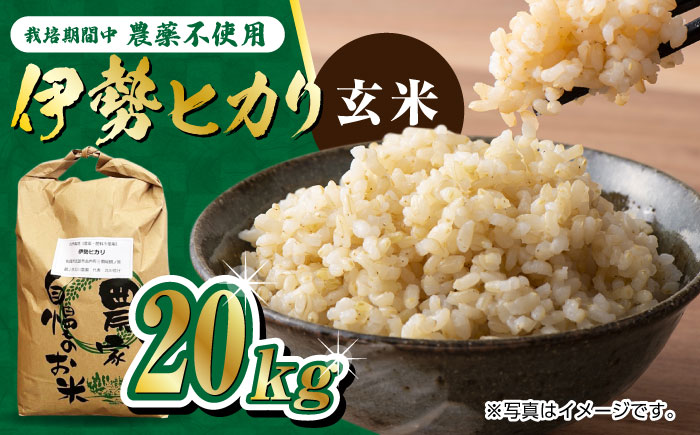 栽培期間中農薬不使用 新米 令和7年産 伊勢ヒカリ（イセヒカリ）玄米 20kg /鶴ノ原北川農園 [UDL008]