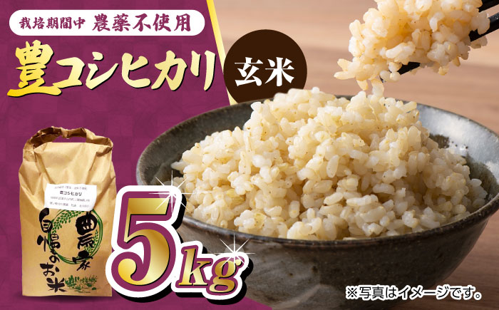 栽培期間中農薬不使用 令和6年産 豊コシヒカリ 玄米 5kg 武雄市/鶴ノ原北川農園 [UDL015]