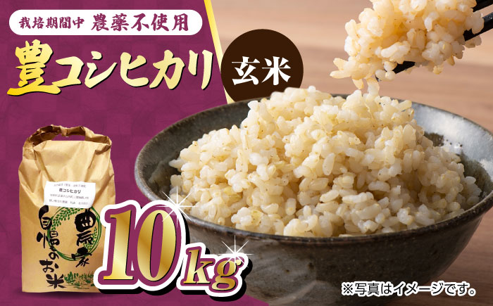 栽培期間中農薬不使用 令和6年産 豊コシヒカリ 玄米 10kg 武雄市/鶴ノ原北川農園 [UDL016]