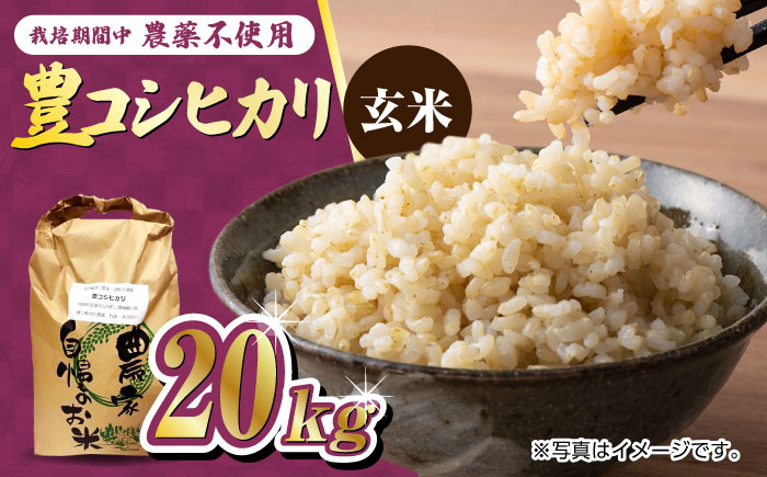 栽培期間中農薬不使用 令和6年産 豊コシヒカリ 玄米 20kg 武雄市/鶴ノ原北川農園 [UDL017]