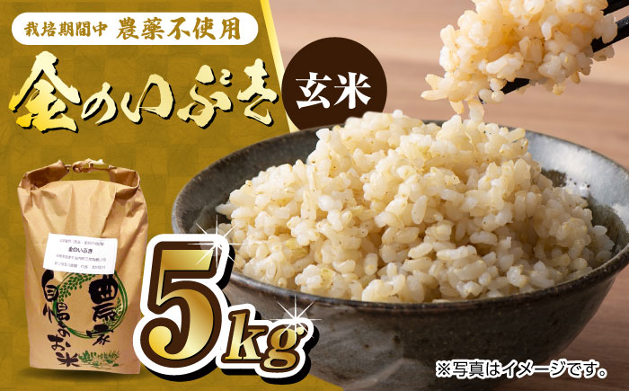 栽培期間中農薬不使用 令和6年産 金のいぶき 玄米 5kg 武雄市/鶴ノ原北川農園 [UDL021]