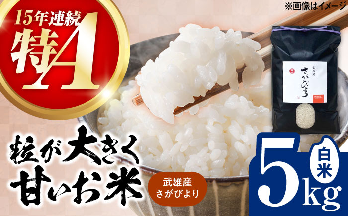 【15年連続特A評価】令和7年産米 武雄市産 さがびより 5kg /株式会社 y's company（utsu和ya） [UDX016] 白米 お米