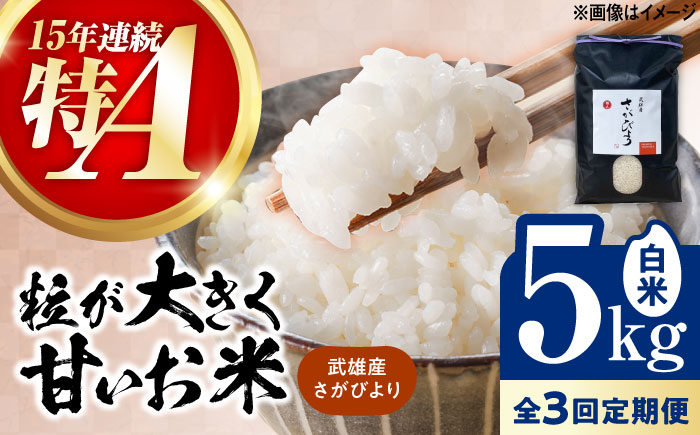 【3回定期便】武雄市産 さがびより 白米 5kg /株式会社 y's company（utsu和ya） [UDX025]