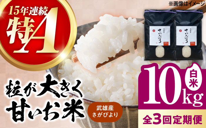 【3回定期便】武雄市産 さがびより 白米 10kg（5kg×2袋） /株式会社 y's company（utsu和ya） [UDX026]