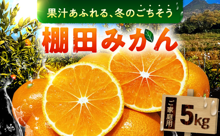武雄産棚田みかん 5kg ご家庭用（S～Lサイズ混合） /株式会社 y’s company（utsu和ya） [UDX027] 果物 柑橘