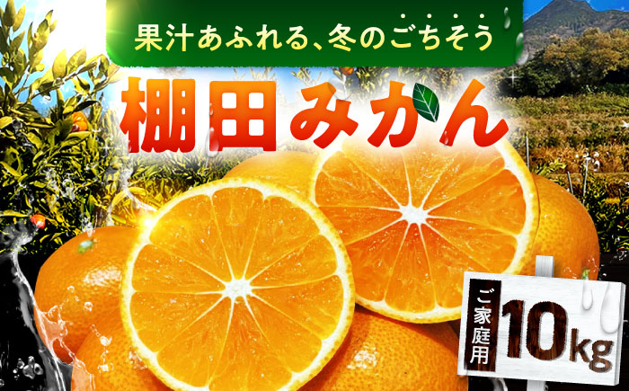武雄産棚田みかん 10kg ご家庭用（S～Lサイズ混合） /株式会社 y’s company（utsu和ya） [UDX028]果物 柑橘