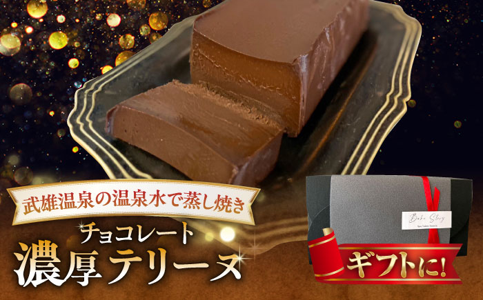 【武雄温泉の温泉水で蒸し焼き】濃厚チョコレートテリーヌ 1本 /Bake Story [UDY001] ケーキ お菓子