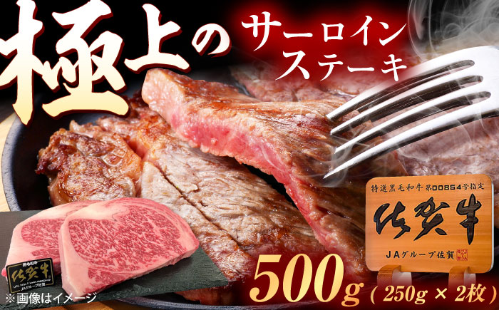 佐賀牛 サーロインステーキ 500g（250g×2枚） /MKミート武雄 [UEM020]