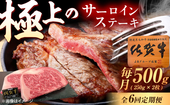 【6回定期便】佐賀牛 サーロインステーキ 500g（250g×2枚） /MKミート武雄 [UEM022]