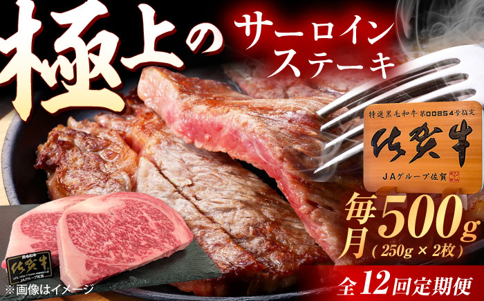 【12回定期便】佐賀牛 サーロインステーキ 500g（250g×2枚） /MKミート武雄 [UEM023]