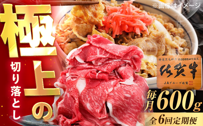 【6回定期便】佐賀牛 切り落とし 600g /MKミート武雄 [UEM032]