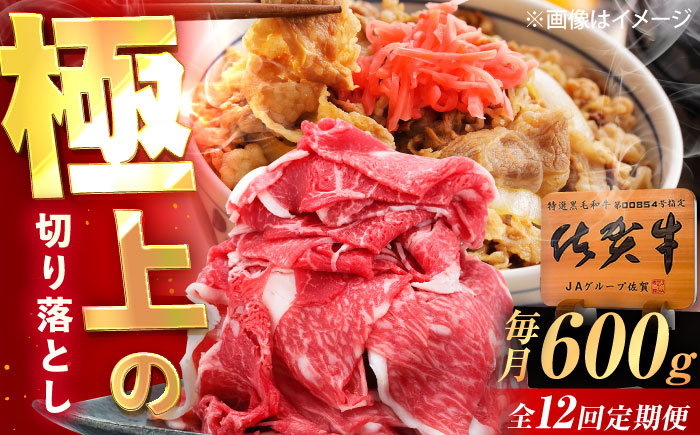 【12回定期便】佐賀牛 切り落とし 600g /MKミート武雄 [UEM033]