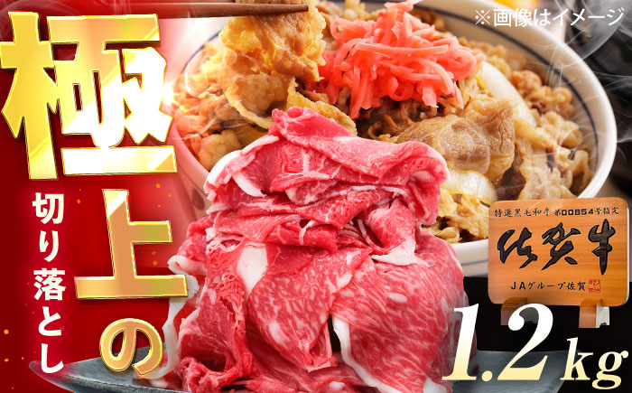 佐賀牛 切り落とし 1.2kg（600g×2p） /MKミート武雄 [UEM034]