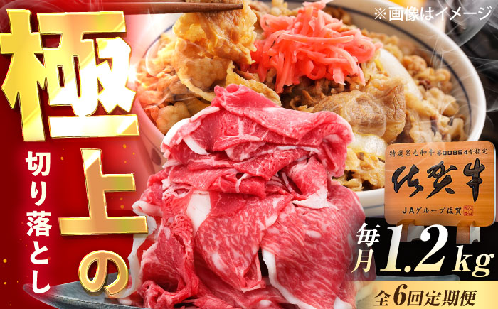 【6回定期便】佐賀牛 切り落とし 1.2kg（600g×2p） /MKミート武雄 [UEM036]