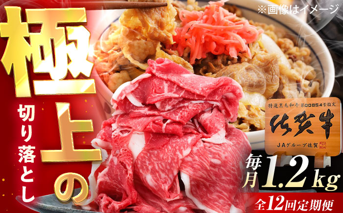 【12回定期便】佐賀牛 切り落とし 1.2kg（600g×2p） /MKミート武雄 [UEM037]