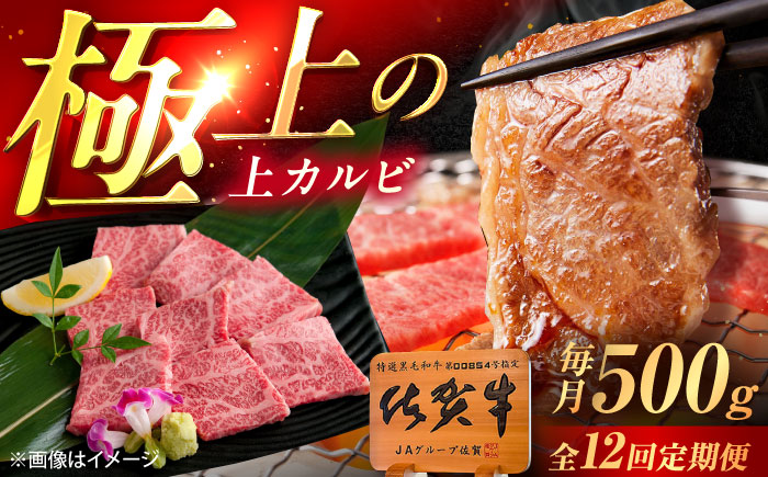 【12回定期便】佐賀牛 上カルビ 焼肉用 500g /MKミート武雄 [UEM052]
