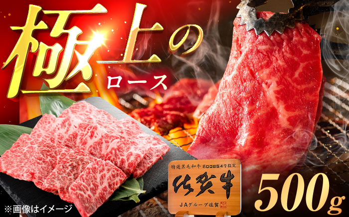 佐賀牛 ロース 焼肉用 500g /MKミート武雄 [UEM054]