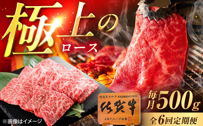 【6回定期便】佐賀牛 ロース 焼肉用 500g /MKミート武雄 [UEM056]