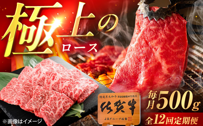 【12回定期便】佐賀牛 ロース 焼肉用 500g /MKミート武雄 [UEM057]