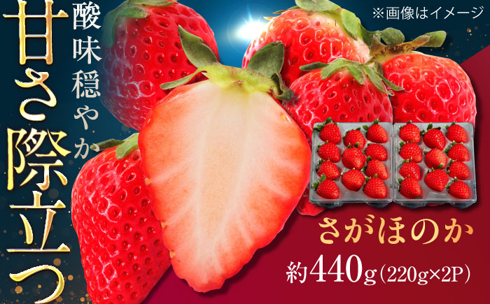 佐賀県産イチゴ「さがほのか」約440g（220g×2パック） /有限会社しげやす [UEQ001]