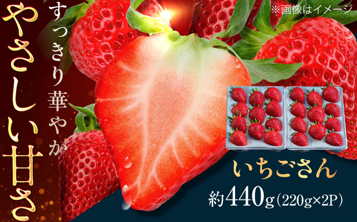 佐賀県産イチゴ「いちごさん」約440g（220g×2パック） /有限会社しげやす [UEQ002]