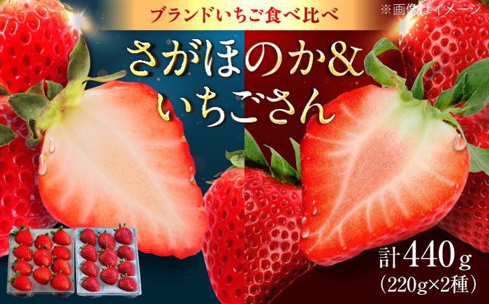 佐賀県産いちご2種食べ比べセット「さがほのか・いちごさん」約440g（220g×2種） /有限会社しげやす [UEQ003]