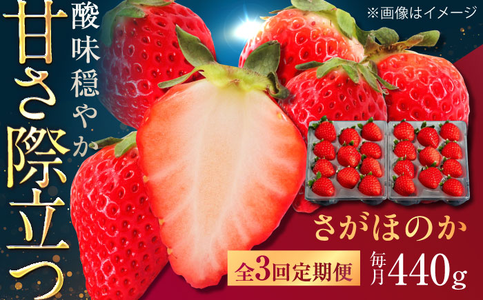 【3回定期便】佐賀県産イチゴ「さがほのか」約440g（220g×2パック） /有限会社しげやす [UEQ004]