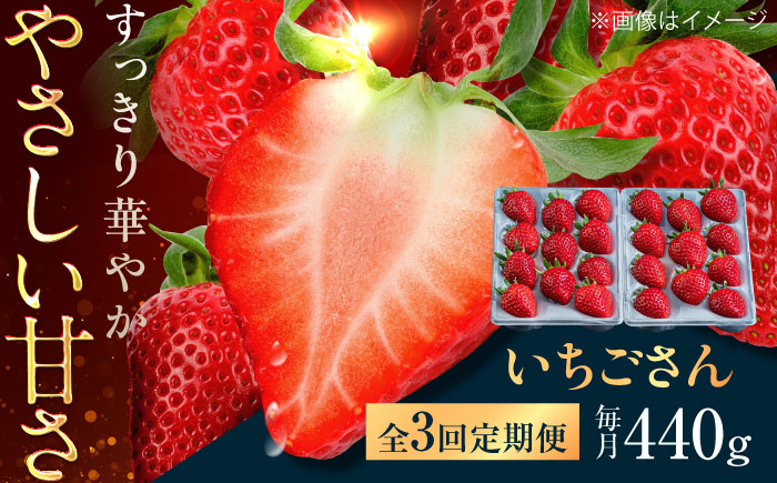 【3回定期便】佐賀県産イチゴ「いちごさん」約440g（220g×2パック） /有限会社しげやす [UEQ005]
