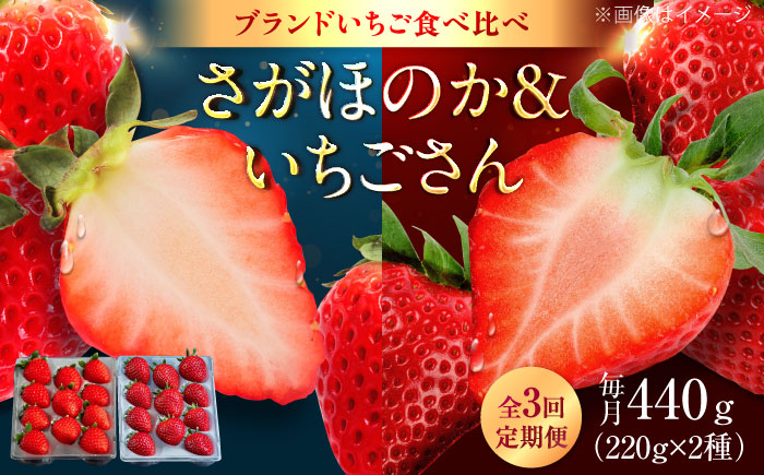 【3回定期便】赤いちご食べ比べ定期便（毎月 約440g） /有限会社しげやす [UEQ006]