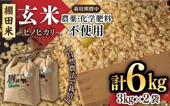 [自然農法で育てた特別栽培米]令和5年産 ヒノヒカリ 玄米 6kg(3kg×2袋)/永尾 忠則 [UAS006] 棚田米 棚田玄米 米 お米
