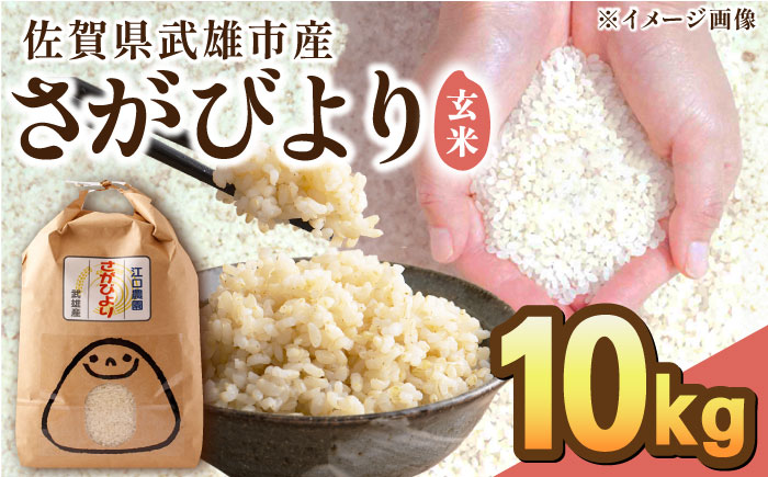 ふるさと納税】【令和6年産】嶺南ファームの嶺岡米「夢ごこち」 5kg [0015-