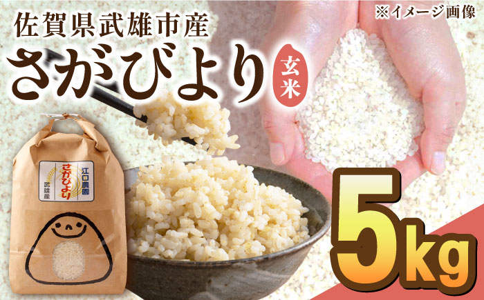 [先行予約][10月下旬以降順次発送][14年連続特A評価]令和6年産 さがびより 玄米 5kg /江口農園[UBF010] 玄米 米 お米 精米 佐賀県産 特A