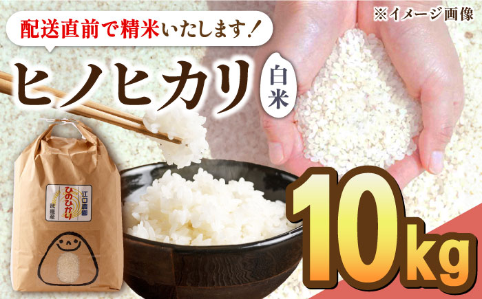 [新米 先行予約][10月中旬以降順次発送]令和6年産 新米 ヒノヒカリ 白米 10kg 配送前精米/江口農園[UBF017] 白米 米 お米 精米 佐賀県産