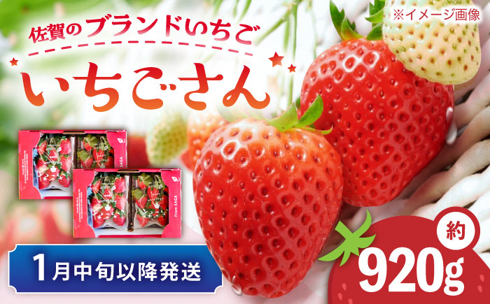 [佐賀のブランドいちご]いちごさん 約920g(約230g×4p)/中村青果店 [UDK009] イチゴ 苺 果物 フルーツ