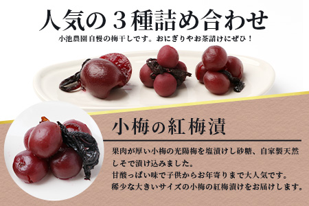 《小池農園》小梅の紅梅漬・小梅の天然しそ漬・紅梅漬３種類セット（各300g） B-467