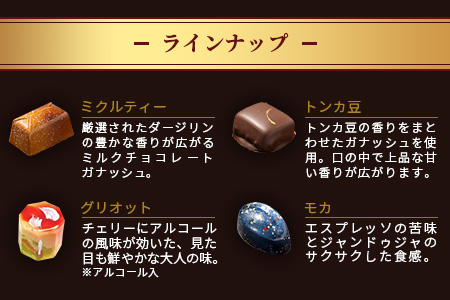 【匠の技】菓子工房 ひのでや てづくり ショコラ 10個 詰め合わせセット【シェフのこだわりと技術が詰まったチョコレート】 B-561　【バレンタイン・ホワイトデー対応可】
