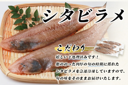 冷凍芝エビ（真エビ）2kg（500g×4パック）＆有明海産 シタビラメ約150g×4尾【有明海の恵】簡単調理 セット