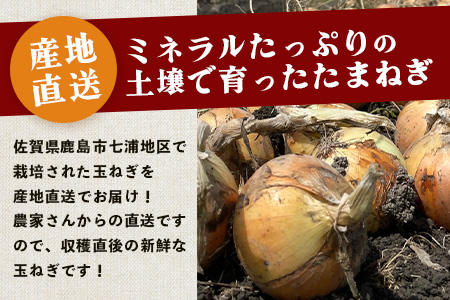 【先行予約】鹿島市産　玉ねぎ　5kg（MLサイズ）農家直送　５月以降発送予定　A-179