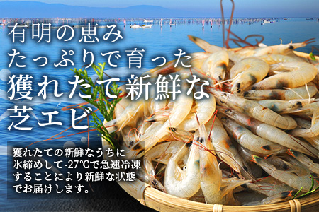 B-357 冷凍芝エビ（真エビ）2.5kg（500g×5パック）