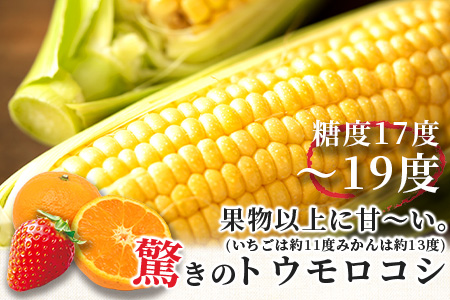 B-124 驚く甘さ！フルーツコーン　約４ｋｇ