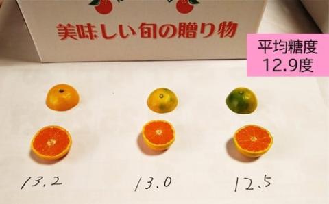 AA-37 毎年大人気！【先行予約】平倉果樹園のひとくちみかん約5.5kg｜鹿島産 小玉みかん（5cm前後）｜贈答用・お取り寄せ ギフト｜温州みかん「ゆら」｜九州 佐賀県 鹿島市産 送料無料