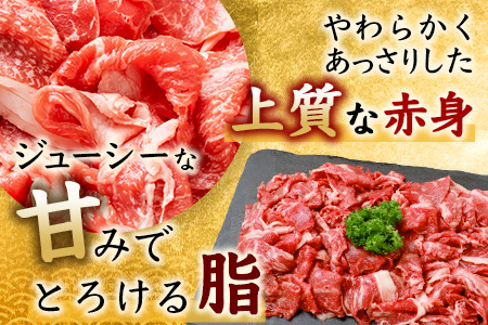 佐賀牛 切り落とし 500g×2【合計1kg】牛肉 肉 佐賀牛 切り落し 切落し 切りおとし D-186