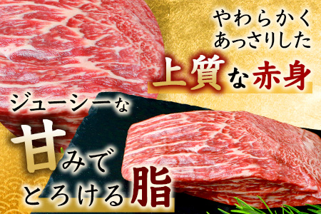 佐賀牛 ローストビーフブロック 200g ソース付 赤身 ローストビーフ 佐賀県産 B-655