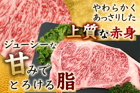 佐賀牛 サーロインステーキ 200g ステーキソース付 佐賀県産 バーベキュー アウトドア BBQ B-656