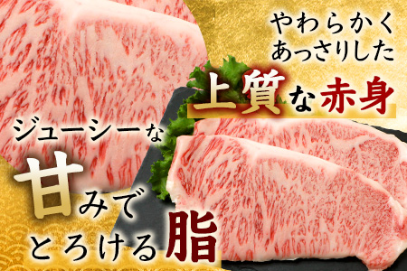 佐賀牛 サーロインステーキ 400g ステーキソース付 佐賀県産 バーベキュー アウトドア BBQ D-188