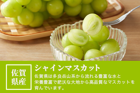 【ふるさと納税】【先行予約】ご家庭用 シャインマスカット 約1.3kg 2～3房 佐賀県産 【2025年8月上旬以降発送】 | ふるさと納税 シャインマスカット マスカット ぶどう 葡萄 果物 フルーツ 果実 季節 旬 冷蔵 期間限定 国産 佐賀県 鹿島市 ふるさと 人気 送料無料 B-658